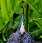 DSC_5525_001.JPG