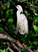 DSC_5535_001.JPG