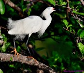 DSC_5541_001.JPG
