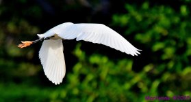 DSC_5550_001.JPG