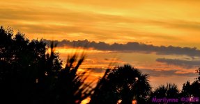 DSC_5561_stitch_001.JPG