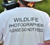 DSC_5566_001.JPG