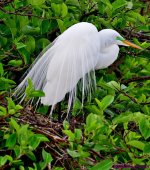 DSC_5589_001.JPG