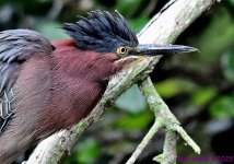 DSC_5749_001.JPG