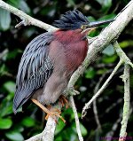 DSC_5751_001.JPG