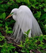 DSC_5758_001.JPG