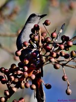 DSC_5763_stitch_001.JPG
