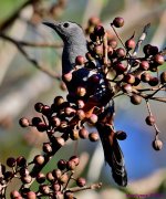 DSC_5766_001.JPG