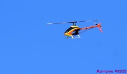 DSC_5782_001.JPG