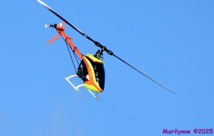 DSC_5786_001.JPG