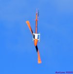 DSC_5821_001.JPG
