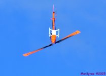 DSC_5822_001.JPG