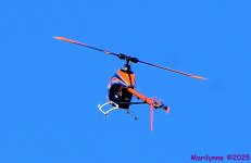 DSC_5829_001.JPG