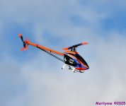 DSC_5832_001.JPG