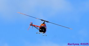 DSC_5836_001.JPG