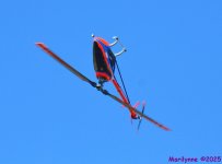DSC_5856_001.JPG