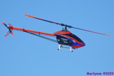 DSC_5885_001.JPG
