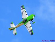 DSC_5918_001.JPG
