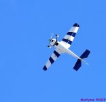 DSC_5922_001.JPG