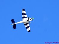 DSC_5932_001.JPG