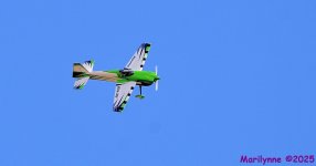 DSC_5936_001.JPG