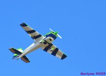 DSC_5961_001.JPG