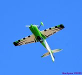 DSC_5986_001.JPG