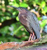 DSC_6221_001.JPG