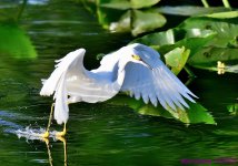 DSC_6304_001.JPG
