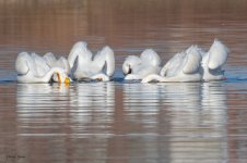 PelicanGroupFishing-94.jpg