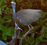 DSC_6363_001.JPG