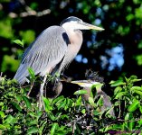 DSC_7216_001.JPG