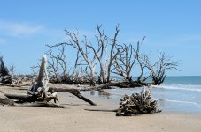 2025-04-19 003 Botany Bay SC - for upload.jpg