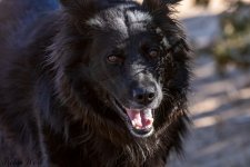 RD5_0730-Edit.jpg