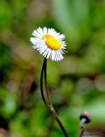 DSC_7404_stitch4_001.JPG