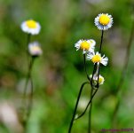 DSC_7408_stitch6_001.JPG