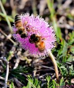 DSC_7750_001.JPG