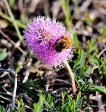 DSC_7753_001.JPG