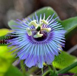 DSC_7762_001.JPG