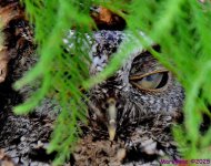 DSC_7777_001.JPG