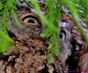 DSC_7789_001.JPG