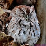 DSC_7986_001.JPG