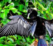 DSC_8029_stitch3_001.JPG