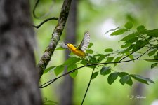 DSC_0257-topaz-denoise-sharpen.jpg