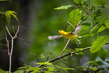 DSC_0335-topaz-denoise-sharpen.jpg