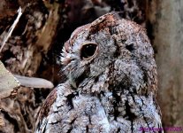 DSC_8269_001.JPG