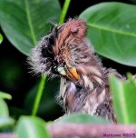 DSC_8350_001.JPG