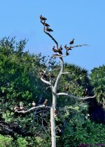 DSC_8592_stitch3_001.JPG