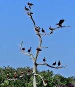 DSC_8599_stitch3_001.JPG