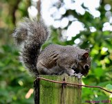 DSC_8636_001.JPG